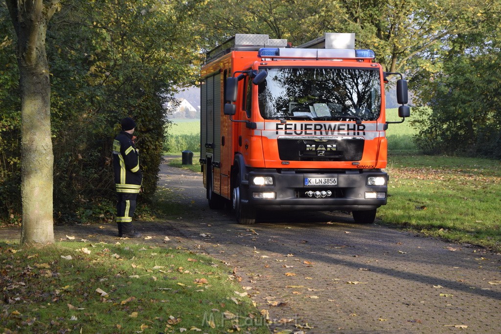 Feuer 1 brannten 3 Lauben Koeln Fuehlingen Kriegerhofstr P104.JPG - Miklos Laubert